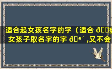 适合起女孩名字的字（适合 🐧 女孩子取名字的字 🪴 ,又不会很多人用）